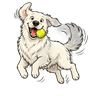 Doggy Fun Day